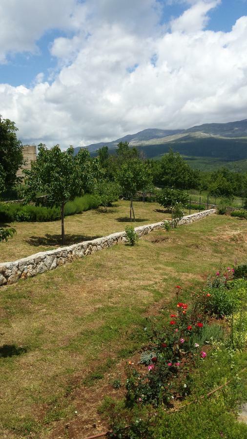 Villa Cetina Milasi Zewnętrze zdjęcie