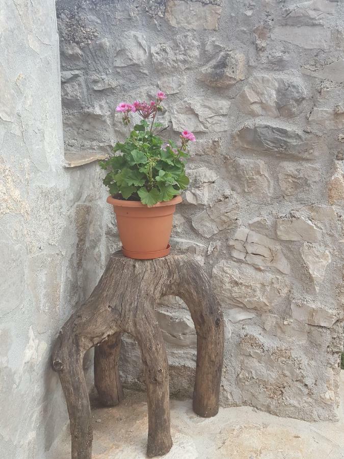 Villa Cetina Milasi Zewnętrze zdjęcie